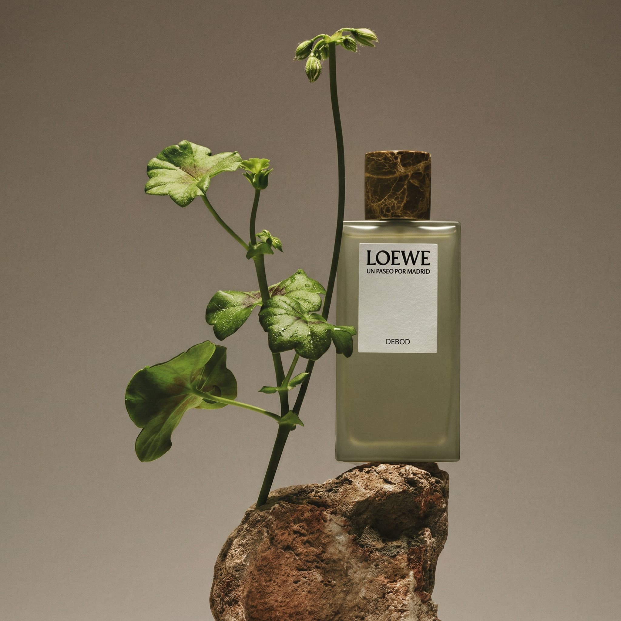 Professional product photography with clean composition, natural lighting, and elegant styling. High-quality food or lifestyle image with attention to detail, balanced colors, and appealing presentation.