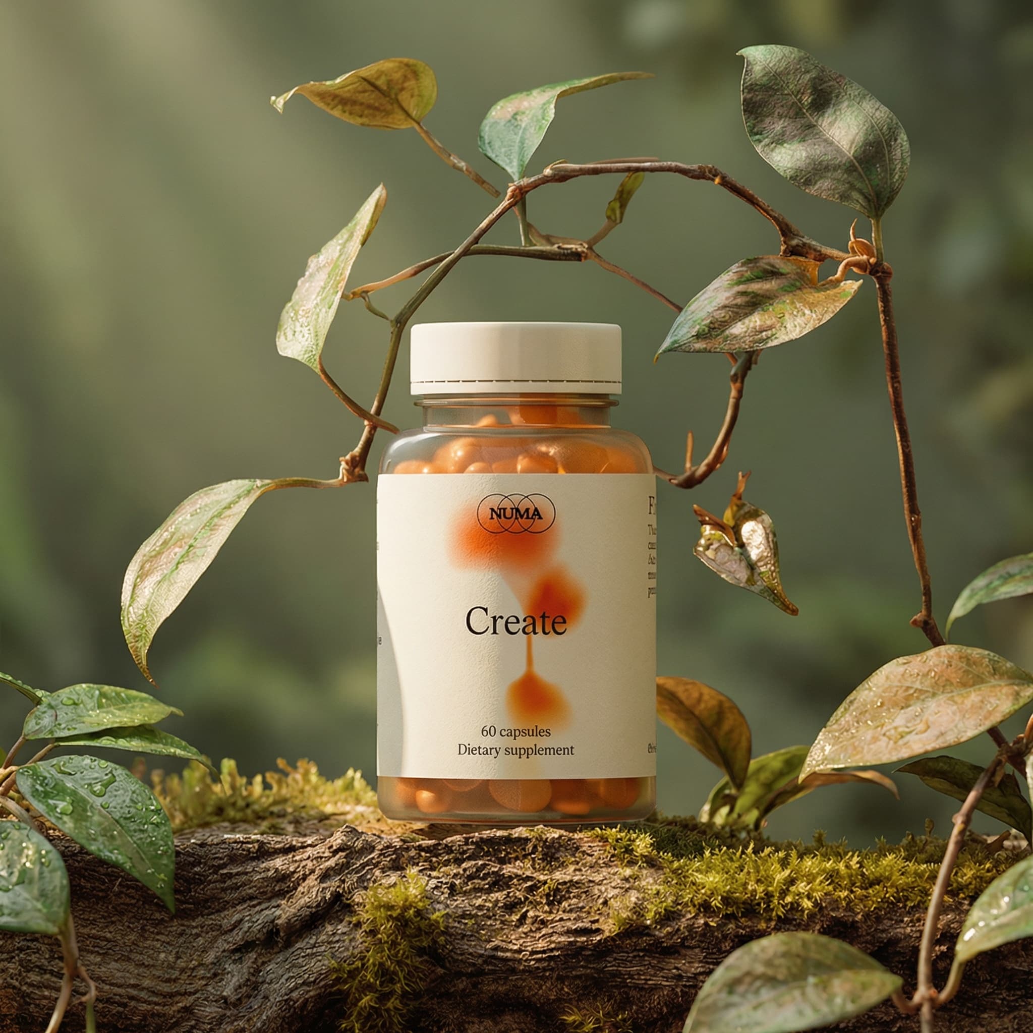 Professional product photography with clean composition, natural lighting, and elegant styling. High-quality food or lifestyle image with attention to detail, balanced colors, and appealing presentation.